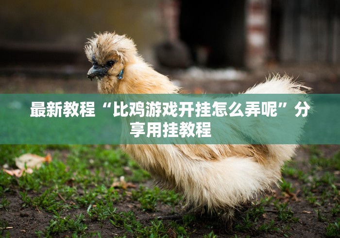 最新教程“比鸡游戏开挂怎么弄呢”分享用挂教程