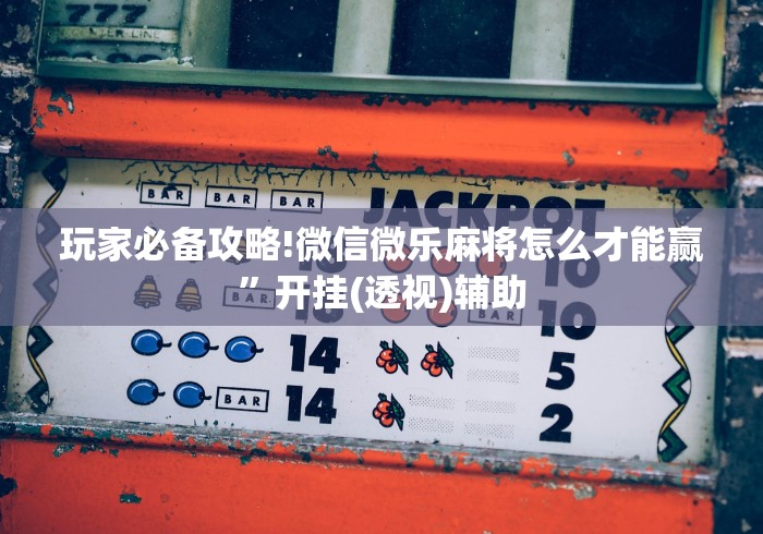 玩家必备攻略!微信微乐麻将怎么才能赢”开挂(透视)辅助