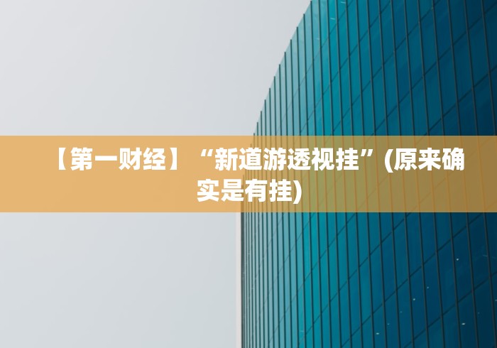 【第一财经】“新道游透视挂”(原来确实是有挂)