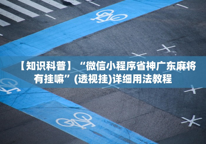 【知识科普】“微信小程序省神广东麻将有挂嘛”(透视挂)详细用法教程