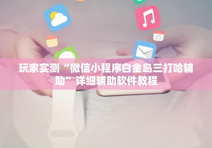 玩家实测“微信小程序白金岛三打哈辅助”详细辅助软件教程