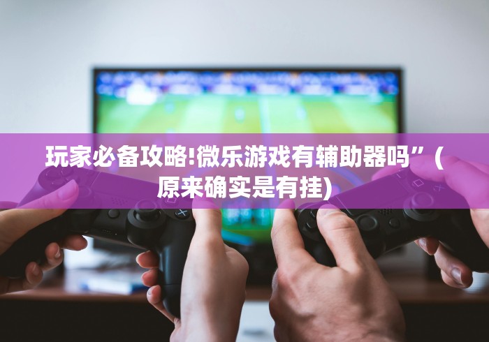 玩家必备攻略!微乐游戏有辅助器吗”(原来确实是有挂)