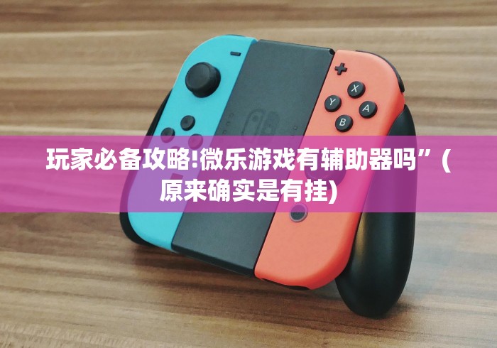 玩家必备攻略!微乐游戏有辅助器吗”(原来确实是有挂)