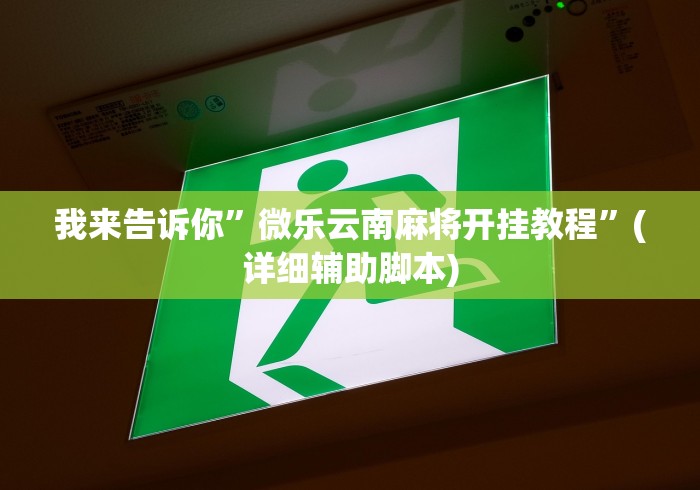 我来告诉你	”微乐云南麻将开挂教程”(详细辅助脚本)