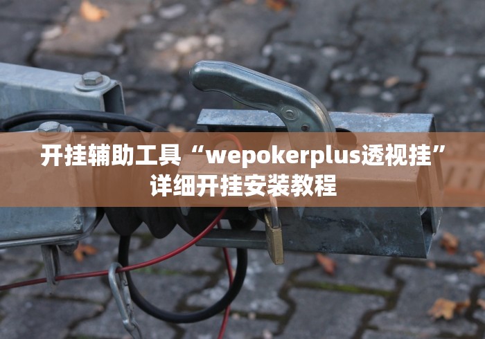 开挂辅助工具“wepokerplus透视挂	”详细开挂安装教程