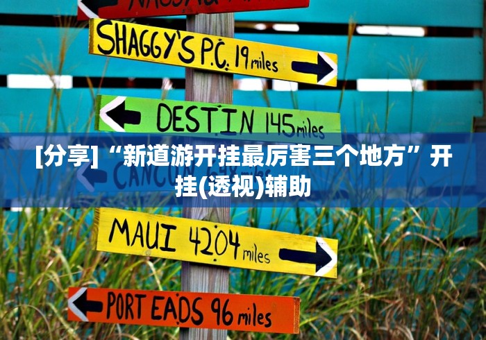 [分享]“新道游开挂最厉害三个地方”开挂(透视)辅助
