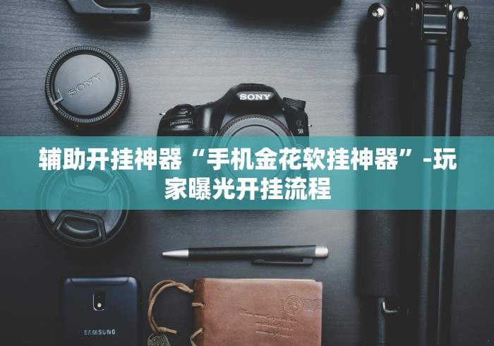 辅助开挂神器“手机金花软挂神器”-玩家曝光开挂流程
