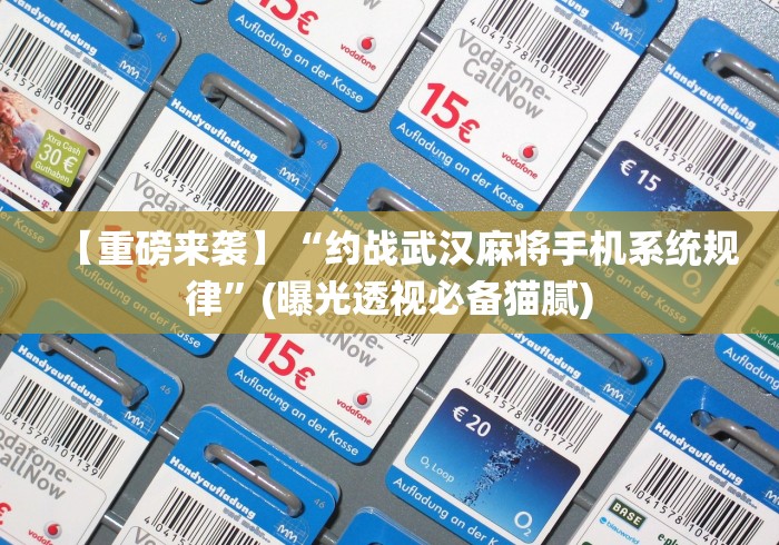 【重磅来袭】“约战武汉麻将手机系统规律	”(曝光透视必备猫腻)