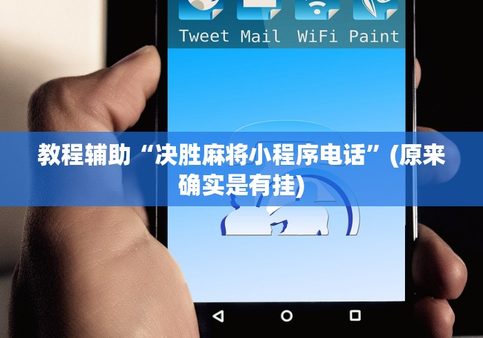 教程辅助“决胜麻将小程序电话”(原来确实是有挂)