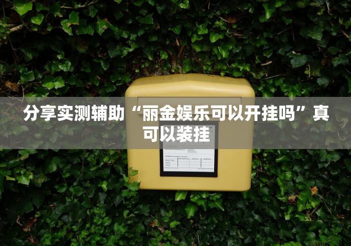 分享实测辅助“丽金娱乐可以开挂吗”真可以装挂