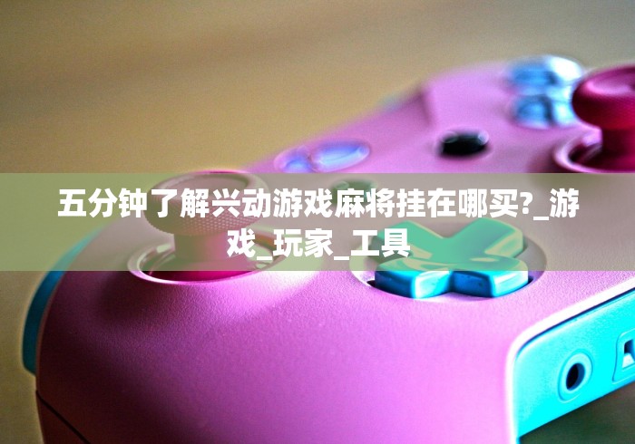 五分钟了解兴动游戏麻将挂在哪买?_游戏_玩家_工具