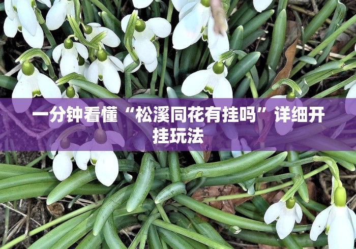 真实辅助“天天麻将天天输”开挂必胜方法