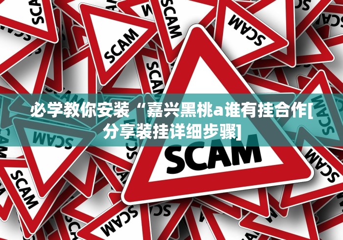 必学教你安装“嘉兴黑桃a谁有挂合作[分享装挂详细步骤]