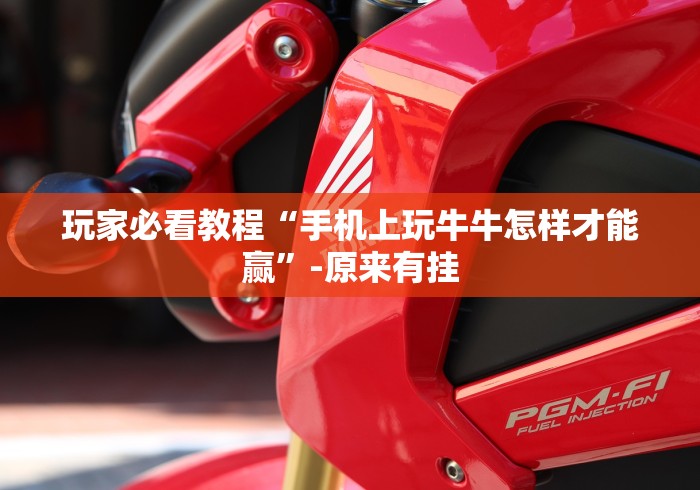 玩家必看教程“手机上玩牛牛怎样才能赢”-原来有挂