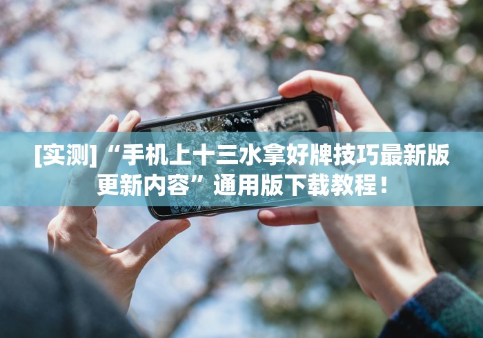 [实测]“手机上十三水拿好牌技巧最新版更新内容”通用版下载教程！