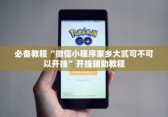 必备教程“微信小程序家乡大贰可不可以开挂”开挂辅助教程