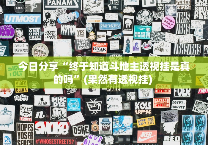 今日分享“终于知道斗地主透视挂是真的吗”(果然有透视挂) 