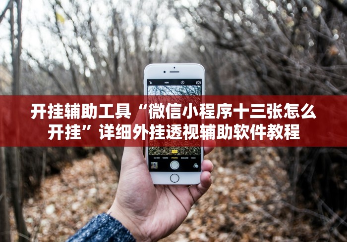开挂辅助工具“微信小程序十三张怎么开挂”详细外挂透视辅助软件教程