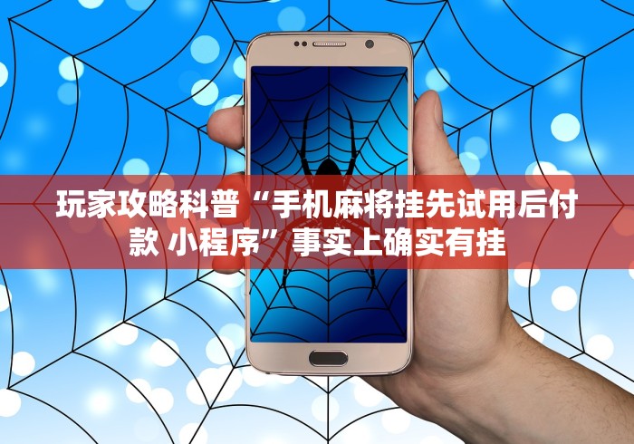 玩家攻略科普“手机麻将挂先试用后付款 小程序”事实上确实有挂
