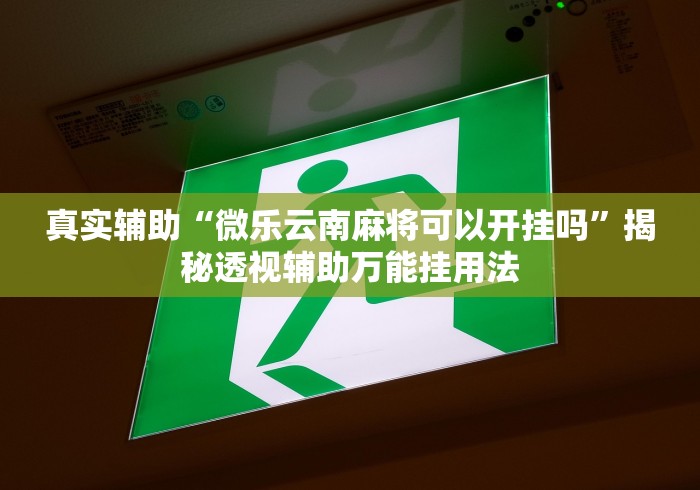 真实辅助“微乐云南麻将可以开挂吗”揭秘透视辅助万能挂用法