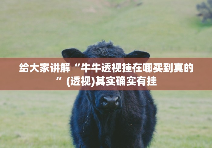 给大家讲解“牛牛透视挂在哪买到真的”(透视)其实确实有挂