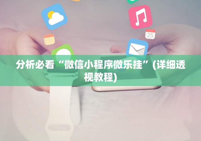 分析必看“微信小程序微乐挂	”(详细透视教程)