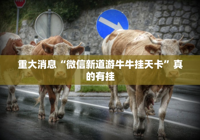 重大消息“微信新道游牛牛挂天卡”真的有挂