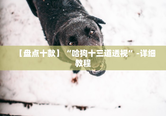 【盘点十款】“哈狗十三道透视”-详细教程