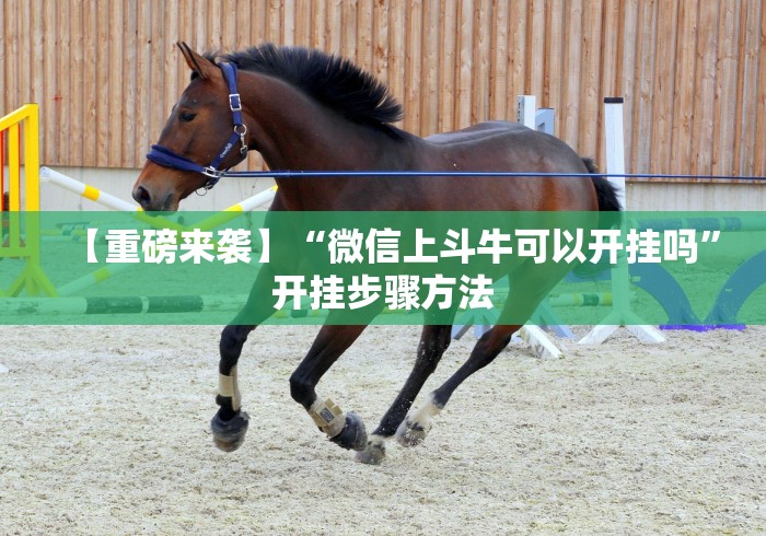 【重磅来袭】“微信上斗牛可以开挂吗”开挂步骤方法