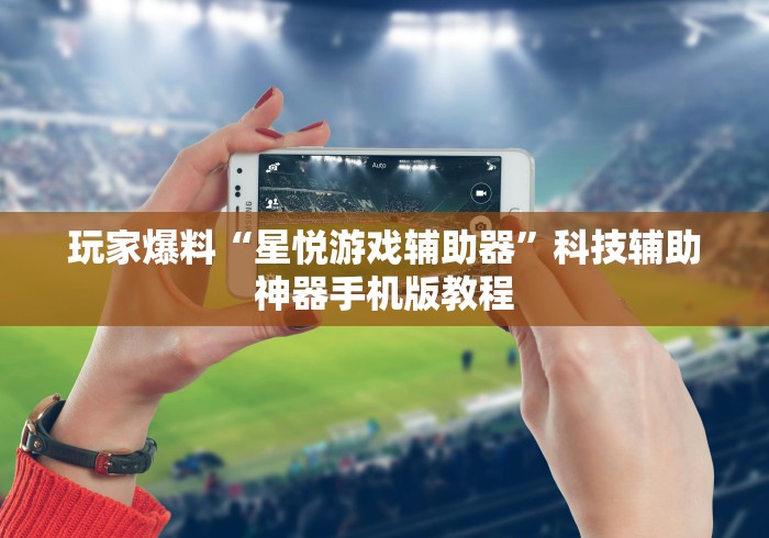 玩家爆料“星悦游戏辅助器”科技辅助神器手机版教程
