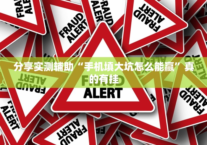 分享实测辅助“手机填大坑怎么能赢”真的有挂
