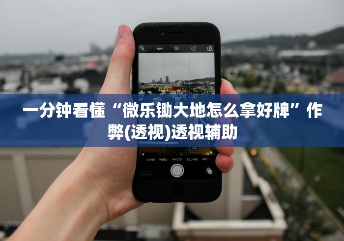 一分钟看懂“微乐锄大地怎么拿好牌”作弊(透视)透视辅助