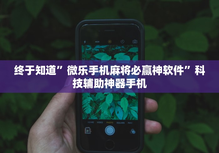 终于知道”微乐手机麻将必赢神软件	”科技辅助神器手机