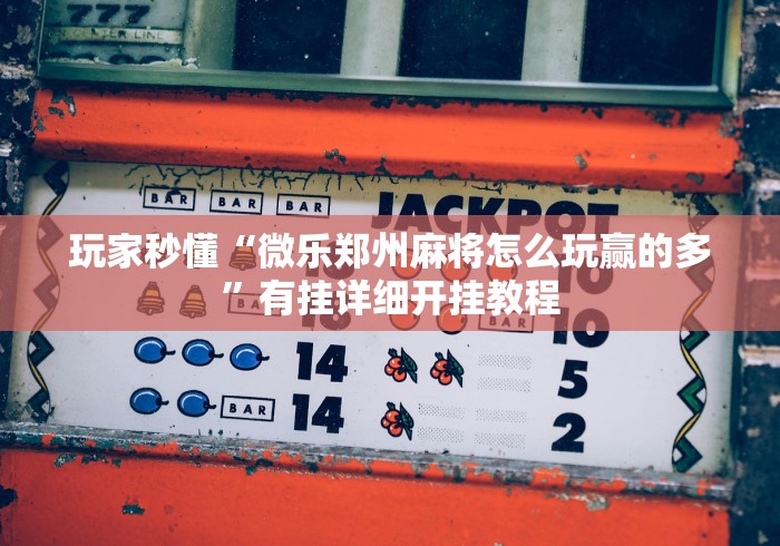 玩家秒懂“微乐郑州麻将怎么玩赢的多”有挂详细开挂教程