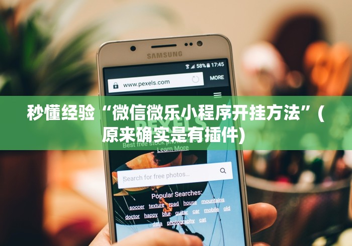 秒懂经验“微信微乐小程序开挂方法”(原来确实是有插件) 