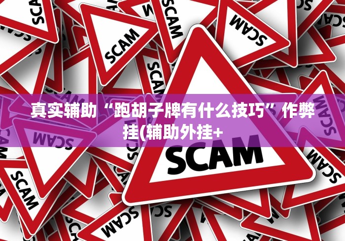 真实辅助“跑胡子牌有什么技巧”作弊挂(辅助外挂+