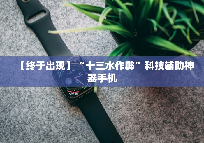 【终于出现】“十三水作弊”科技辅助神器手机
