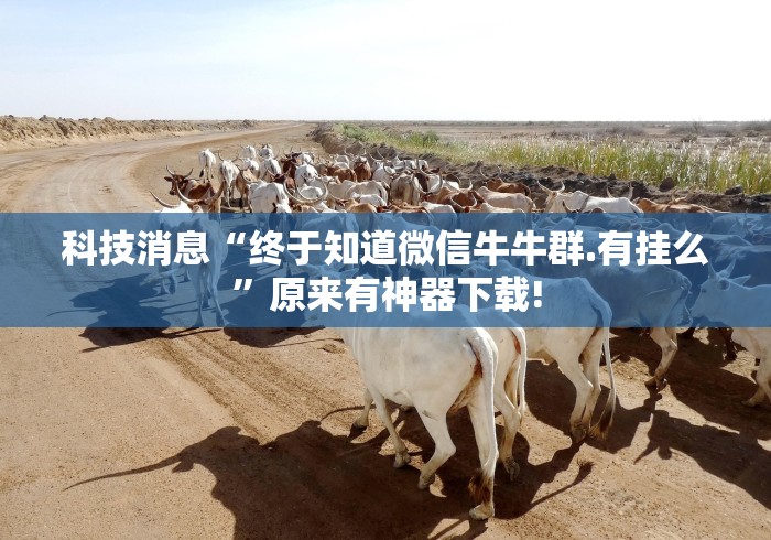 科技消息“终于知道微信牛牛群.有挂么”原来有神器下载!