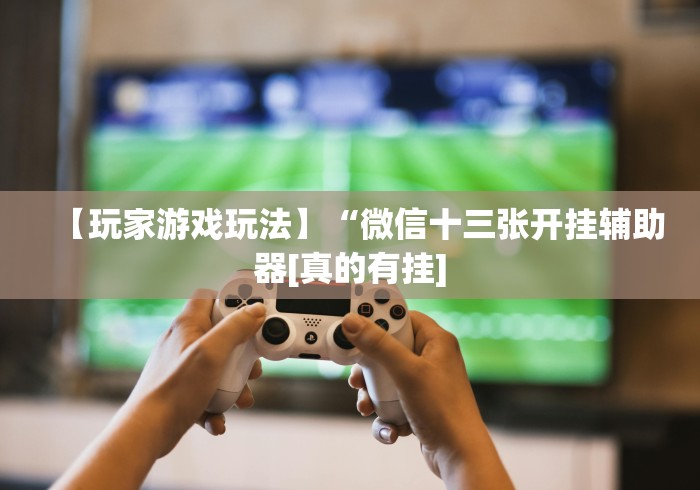 【玩家游戏玩法】“微信十三张开挂辅助器[真的有挂]
