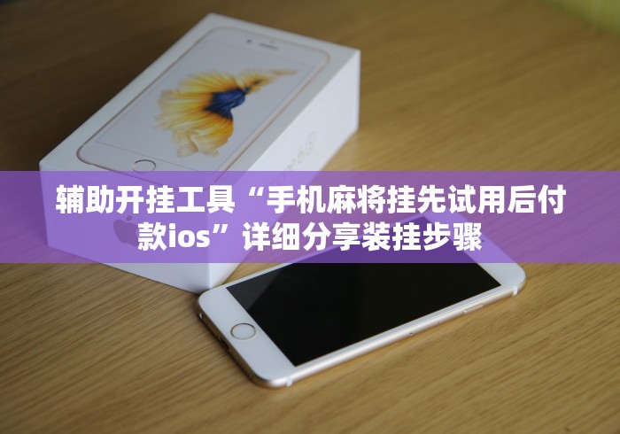 辅助开挂工具“手机麻将挂先试用后付款ios”详细分享装挂步骤
