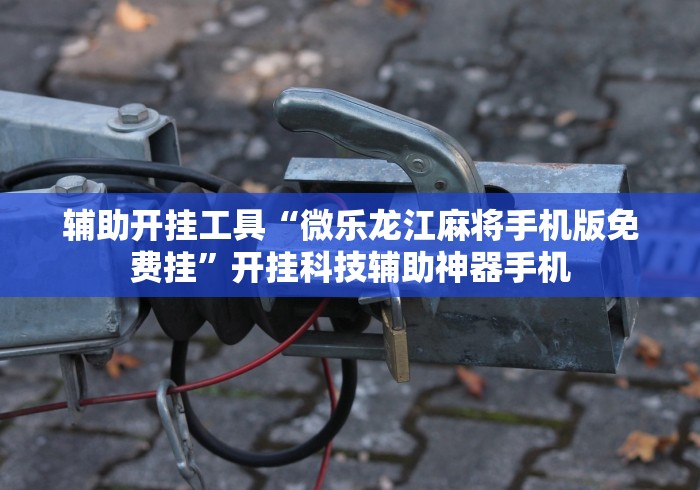 辅助开挂工具“微乐龙江麻将手机版免费挂”开挂科技辅助神器手机